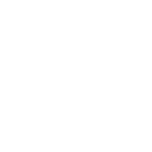 Osteoflow Logo